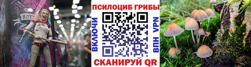 Псилоцибиновые грибы GOLDEN TEACHER  где купить   Славск 