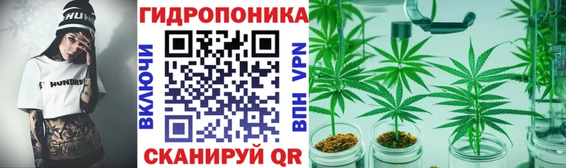 цена наркотик  Славск  KRAKEN вход  Каннабис марихуана 